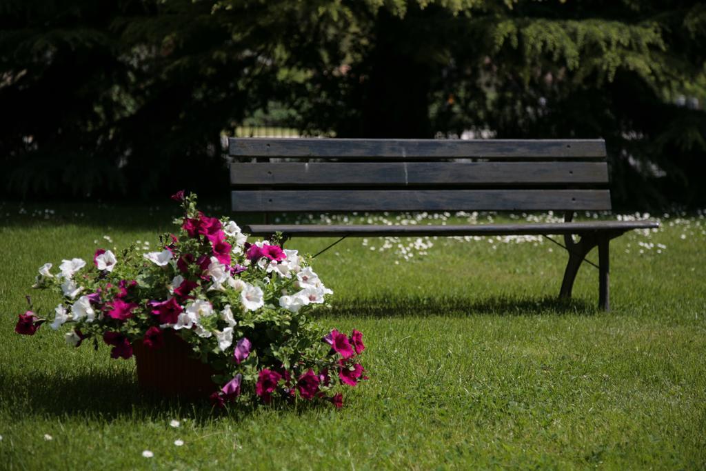 Hotel Bassetto Ferentino Zewnętrze zdjęcie