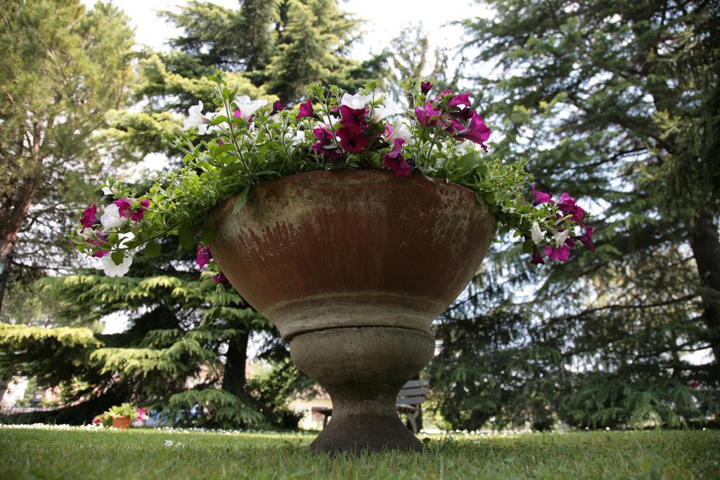 Hotel Bassetto Ferentino Zewnętrze zdjęcie