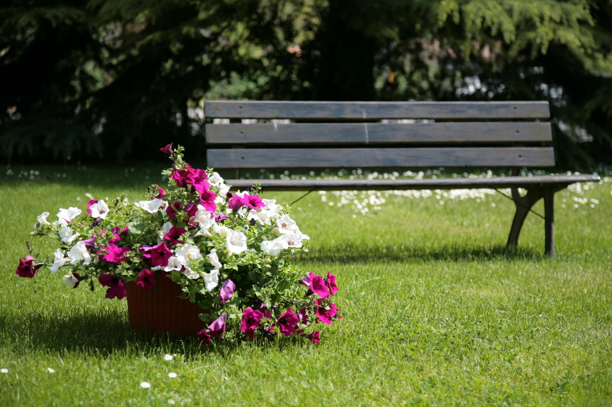 Hotel Bassetto Ferentino Zewnętrze zdjęcie